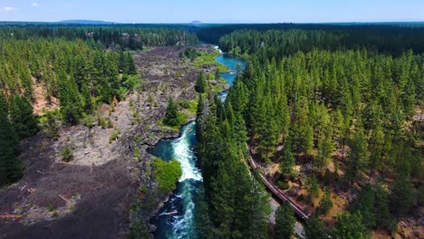 kayakers down forest river, clear, sunny day in 4k 60fps frame rate