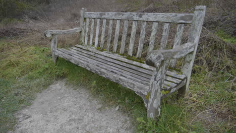 Moving-round-an-old-wooden-bench