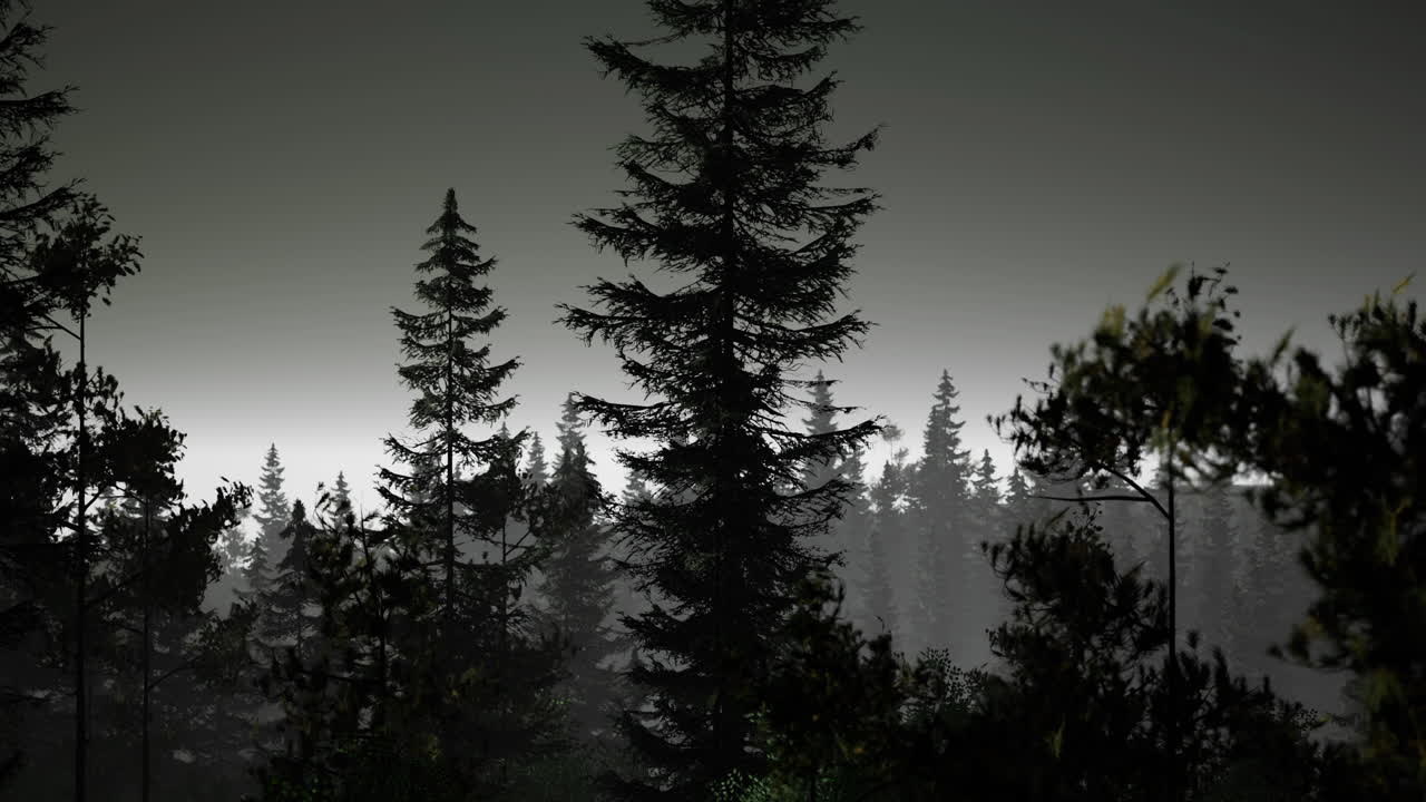 Dark forest landscape at dusk with towering trees and misty background