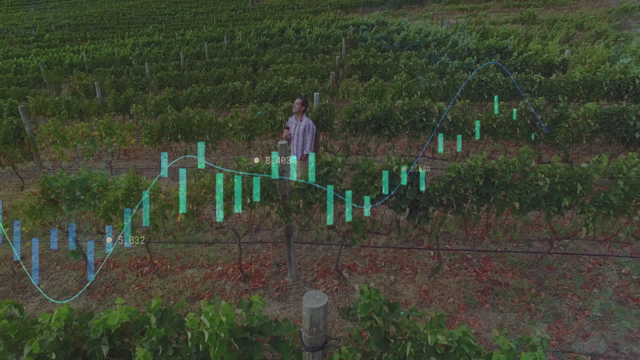 포도에 있는 사람에 대한 금융 데이터 애니메이션을 분석하는 것