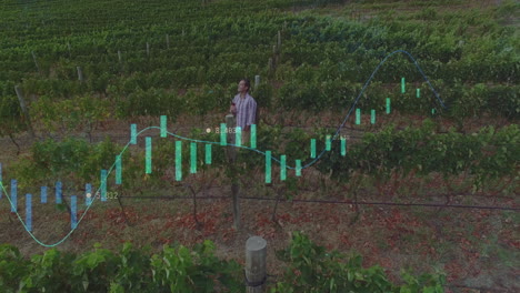 analyzing financial data animation over person in vineyard