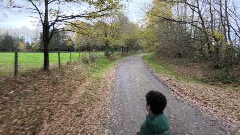 young boy exploring country road in autumnal trees scene, aerial dolly view