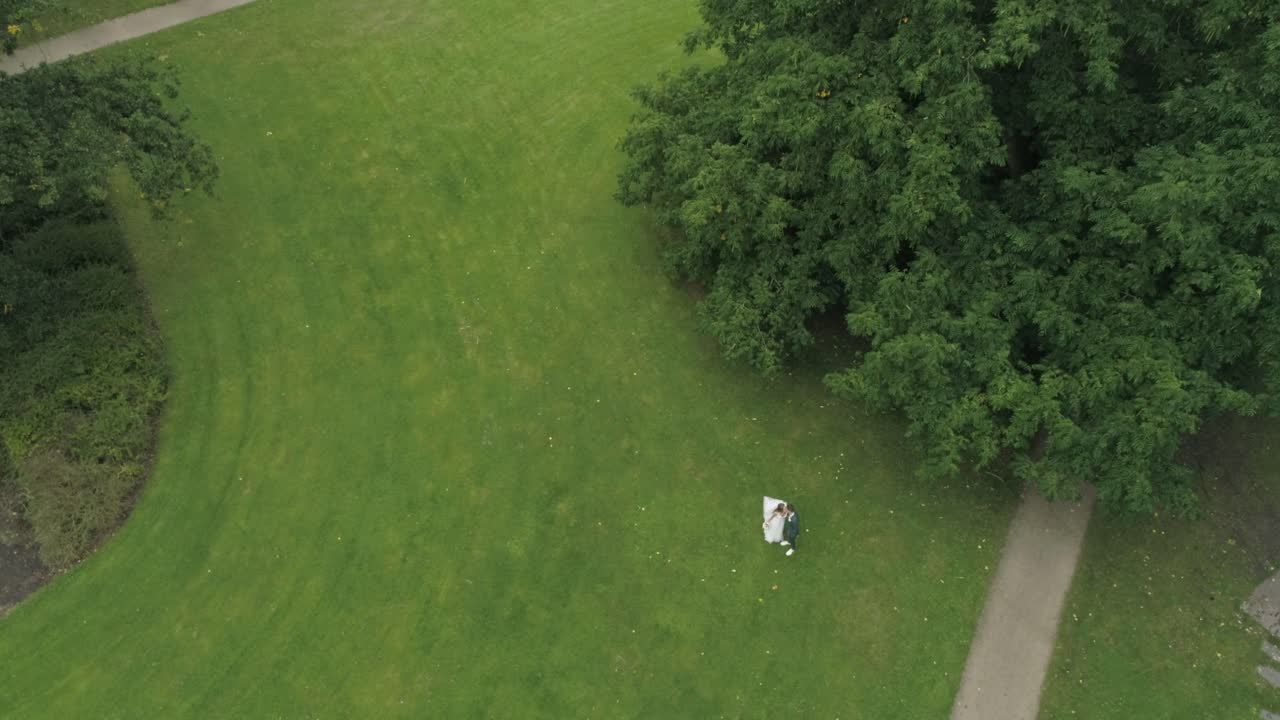 거 대 한 나무 손을 잡고 키스 앞 공원에서 젊은 웨딩 커플의 공중