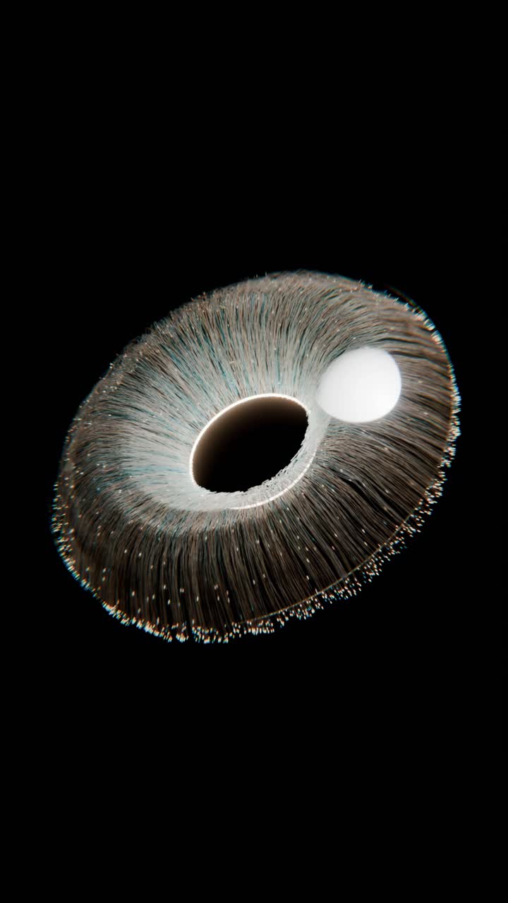 Abstract Circular Light Illusion