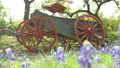 Hand-held,-slow-motion-shots-of-a-rustic-old-wagon-in-a-field-of-wildflowers