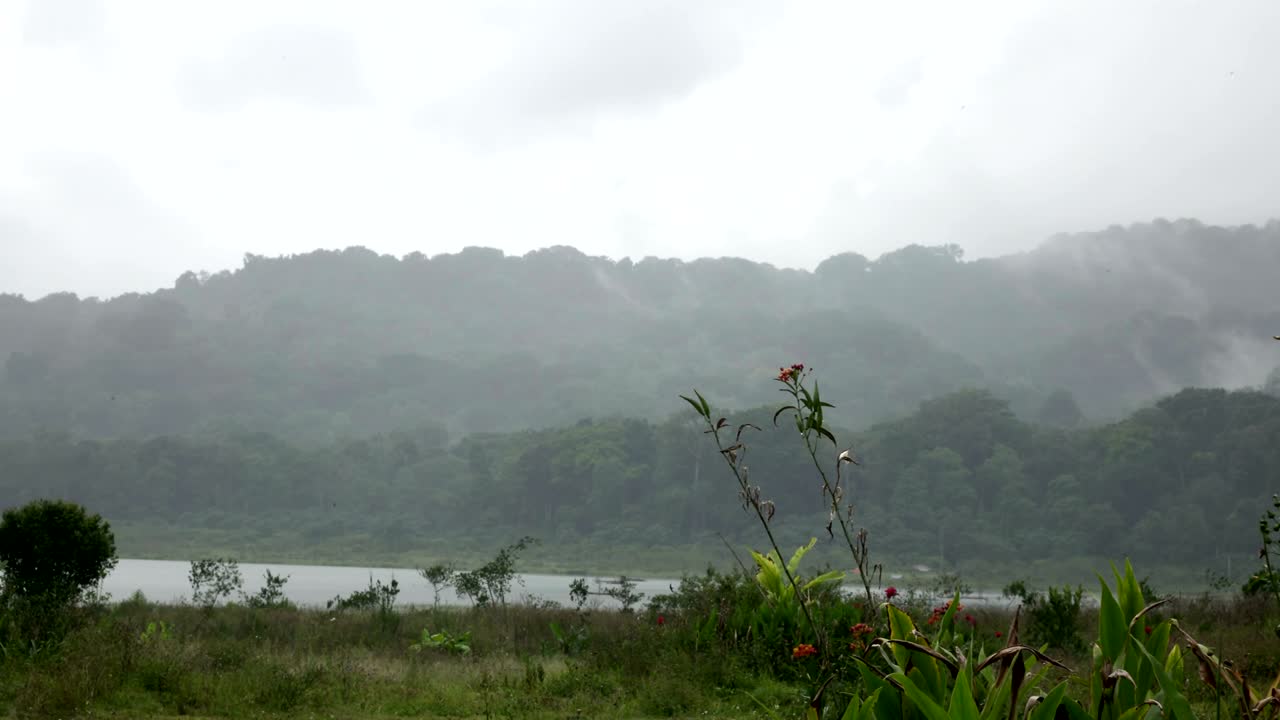 인도네시아 발리의 블링건 호수 (tamblingan lake)