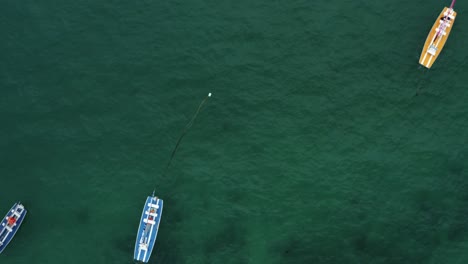 un dron aéreo de arriba hacia abajo con un ojo de pájaro en ascenso disparó sobre aguas verdes cristalinas con veleros anclados, rocas y algas marinas debajo en porto de galinhas o playa de puerto de pollo en pernambuco, brasil