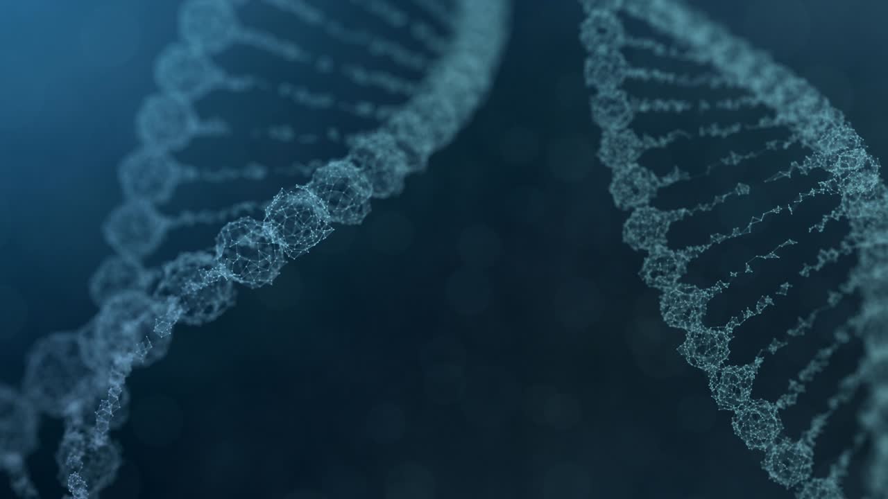dos cadenas de adn del plexo giratorio con impulsos que atraviesan - versión azul