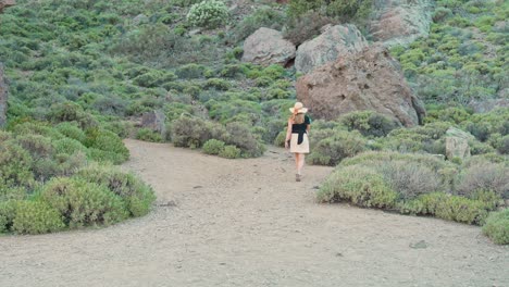 Mujer-Solitaria-Caminando-En-El-Paisaje-Salvaje-De-La-Zona-Del-Teide-De-Tenerife,-Vista-Posterior