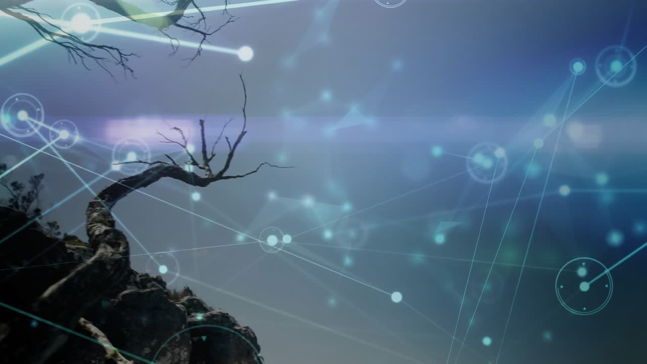 Cyan overlay appearing diagonally, camera tilting upward, nodes forming mesh to visualize branches