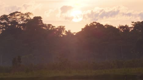 tilt up showing the reflection shimmering on water to the sun in the sky hidden behind the clouds over the amazon rain forest