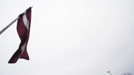 the latvian flag red white and red flowing in the air in the street of jelgava