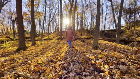 leaf falling autumn forest girl walking minnesota