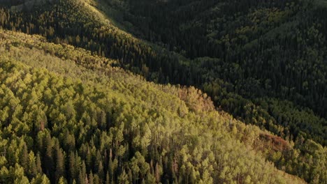 Fall-on-Owl-Creek-Pass,-Colorado