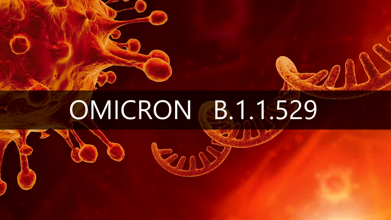 sars-cov-2 variante del coronavirus omicron b.1.1.529