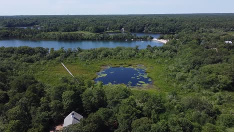 flying over a pond in massachusetts