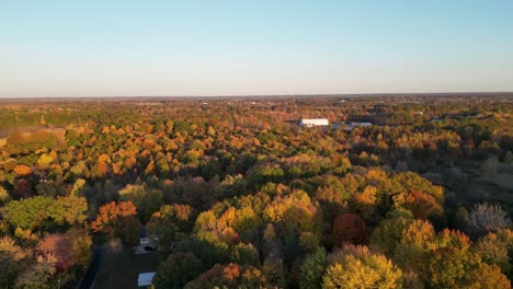 stunning aerial footage of a forest showcasing vibrant autumn colors