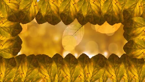 animación del marco de las hojas de otoño sobre el fondo del bosque de otoño