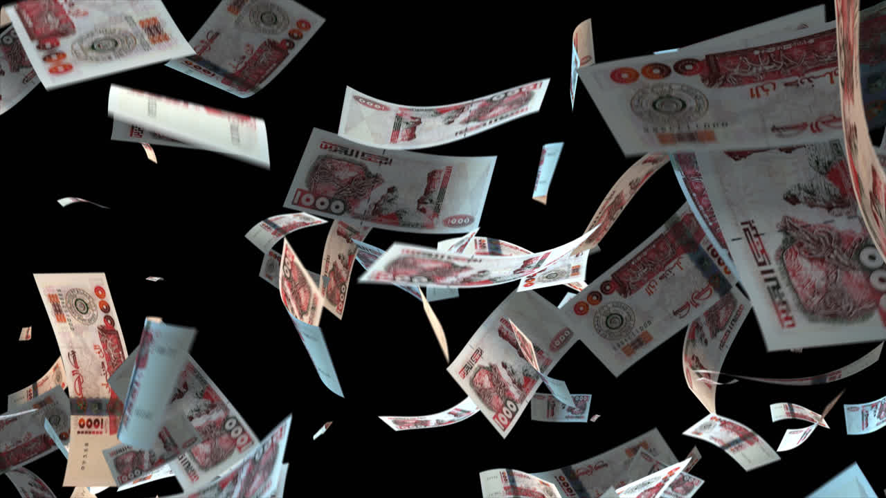 날아다니는 1000달러 지폐