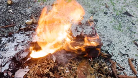 slow motion close up fire burning paper