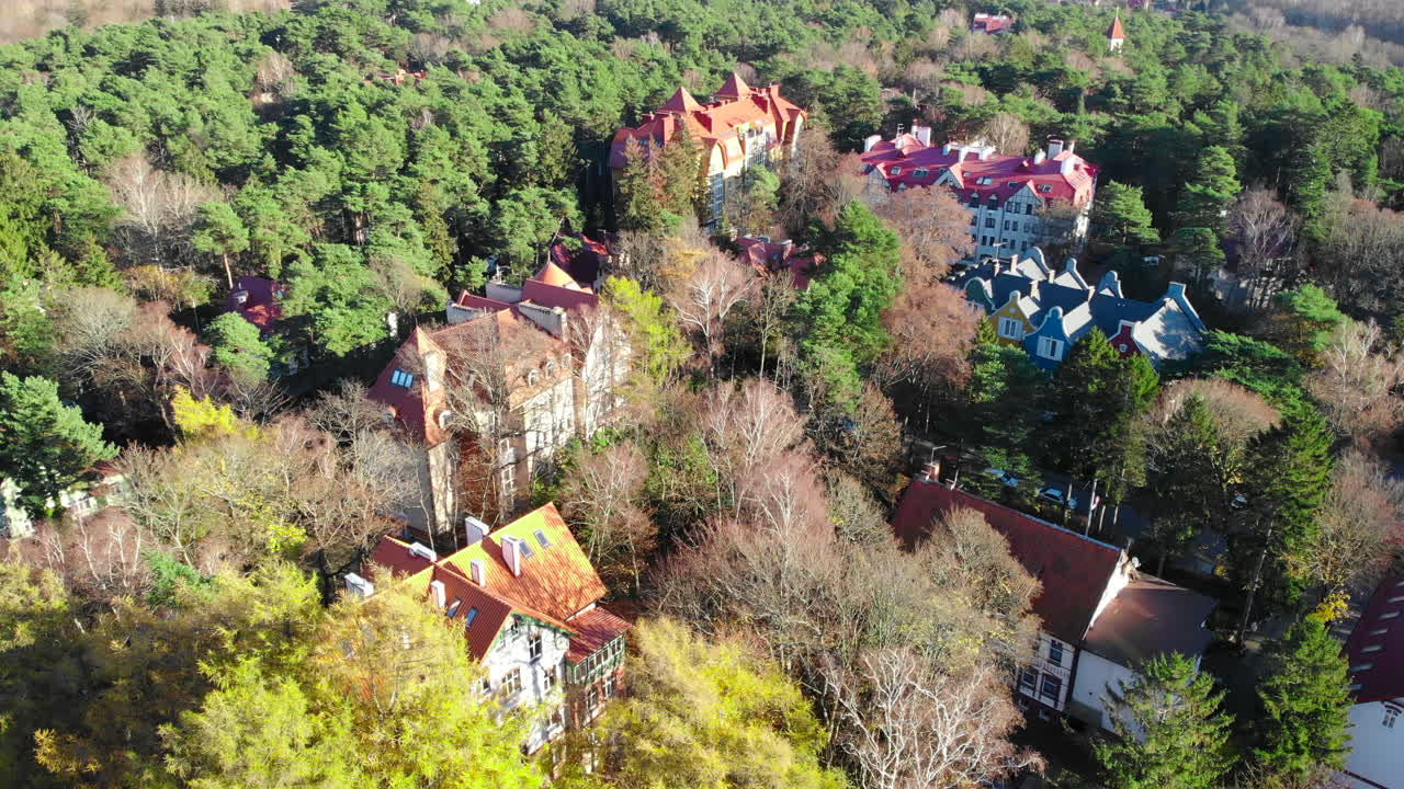 Aerial view of houses and trees