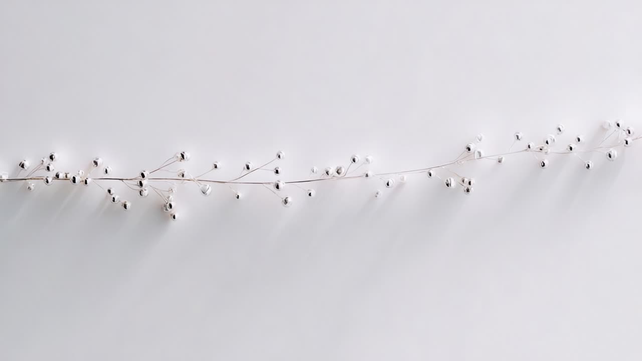 An Elegant Arrangement of Delicate White Stems and Tiny Pods Creatively Laid Out Against a Minimalist Background, Highlighting Nature's Subtle Beauty and Intricate Details in This Modern Presentation