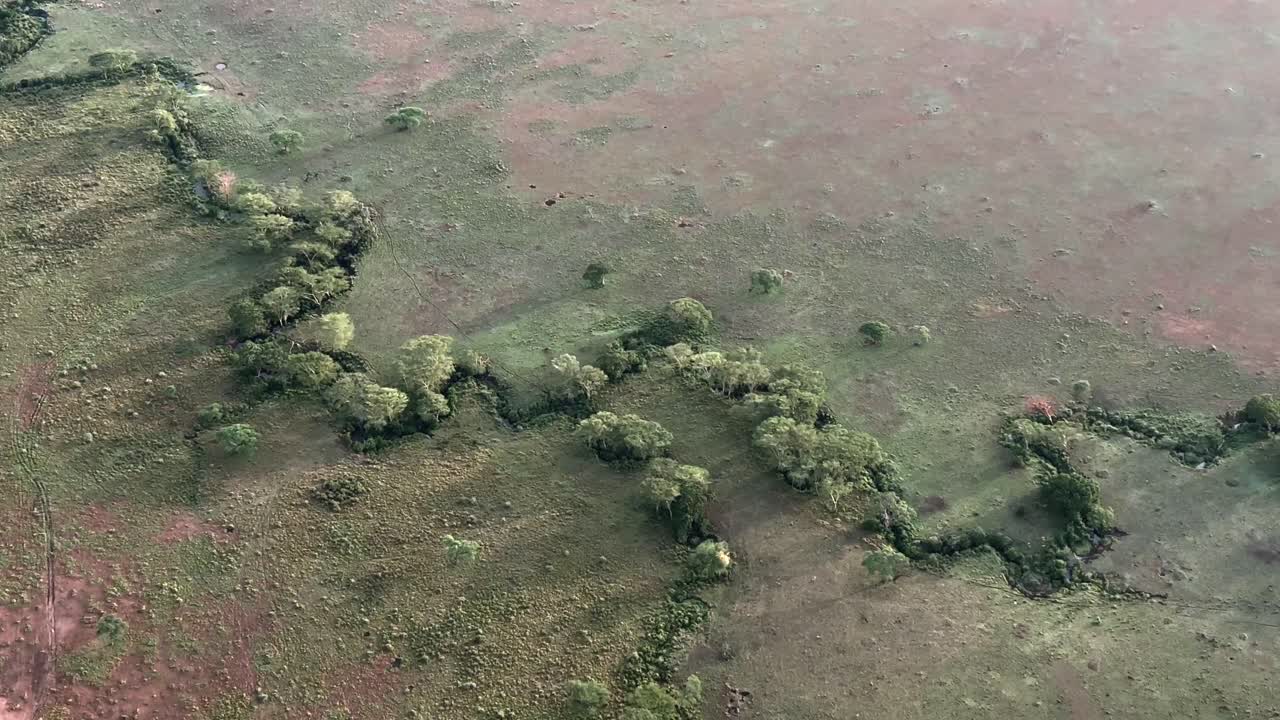 una vista aérea temprano en la mañana de un pequeño río en el parque nacional serengeti, tanzania.