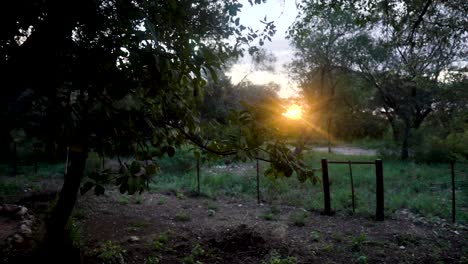 Slomo-Des-Sonnenuntergangs-Auf-Einem-Afrikanischen-Campingplatz,-Wobei-Die-Sonne-Durch-Die-Bäume-Scheint