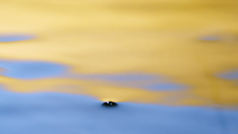 close up real of water drop falls into water and diverging circles of water with smoot color background in studio with copy space for place a text for advertisement.