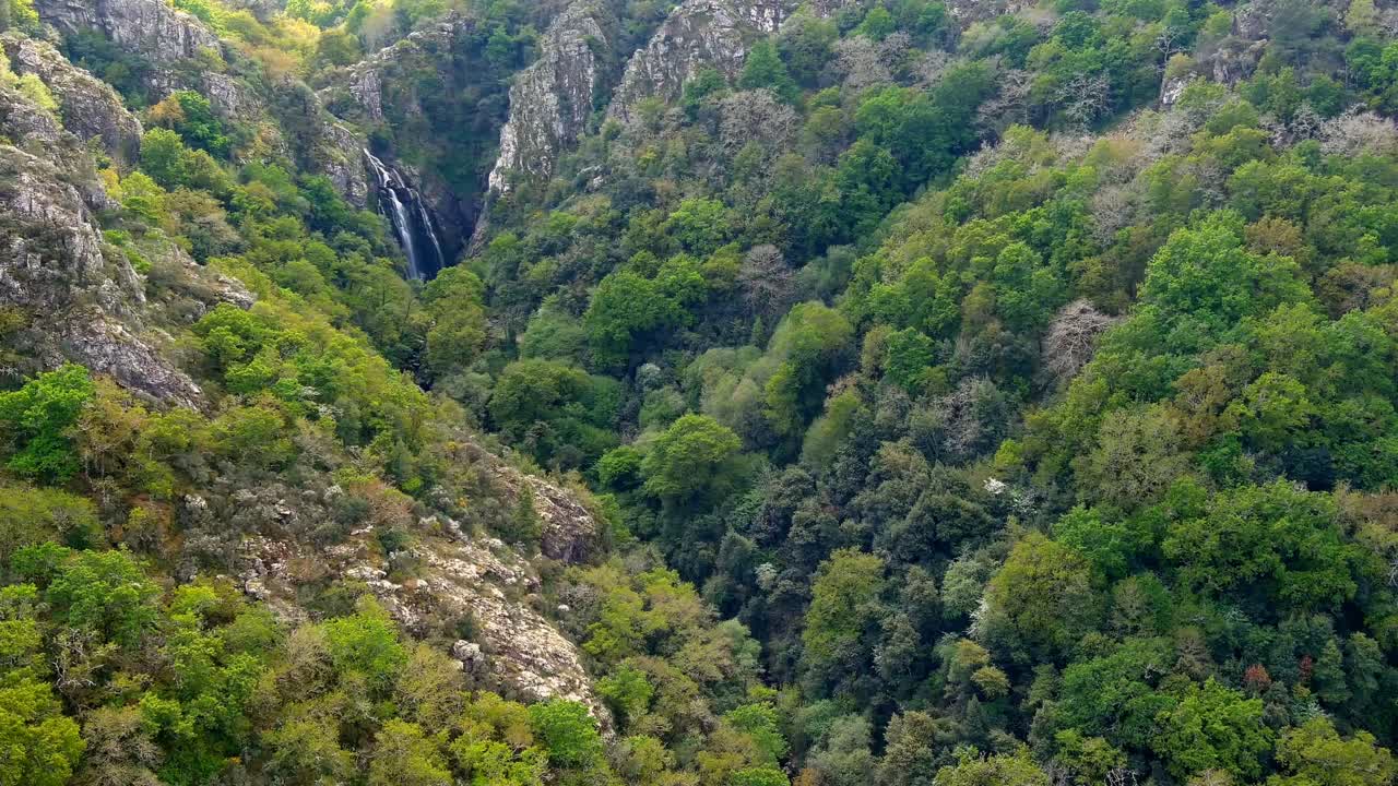 dolly circular aéreo alrededor del barranco del bosque para revelar las cascadas de fervenza do toxa en la distancia.