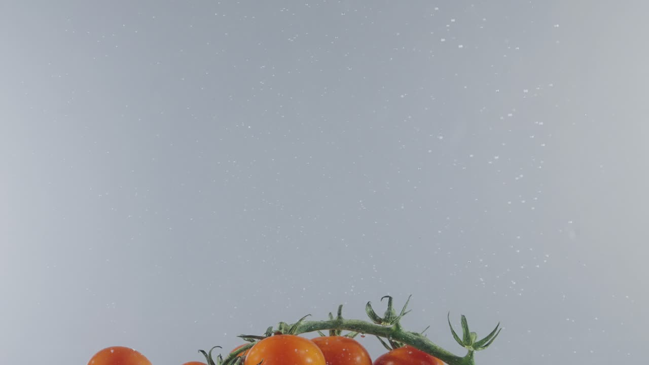 신선한 토마토가 물에 어지고 있습니다.