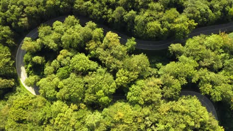 Toma-Aérea-Superior-De-La-Curva-De-Giro-En-Un-Bosque-Verde-Con-Autos-Filmados-Desde-Arriba-Conduciendo-Por-La-Carretera