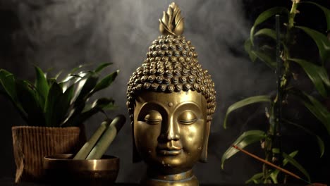 buddha in front of the green plants, tibetian bowl, burning incense stick on black background