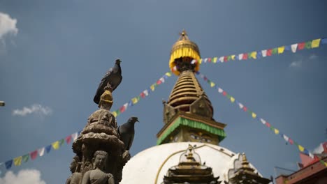 pigeon at a temple in kathmandu in nepal, pigeons and birds at famous buildings in kathmandu, old historic buildings for buddhism, close up of pigeons at a beautiful tourist site