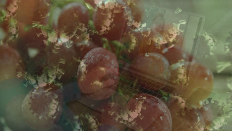 animation of virus cells over grapes