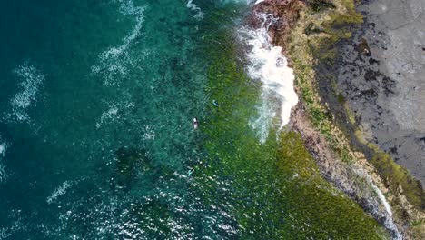 Aerial-drone-bird's-eye-shot-of-surfers-on-rocky-reef-landscape-scenic-travel-tourism-seaweed-waves-view-South-Coast-NSW-Australia-4K