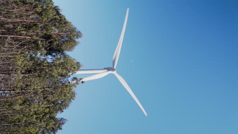 turbina eólica en funcionamiento para la producción de energía eléctrica con árboles en primer plano y la luna en el fondo