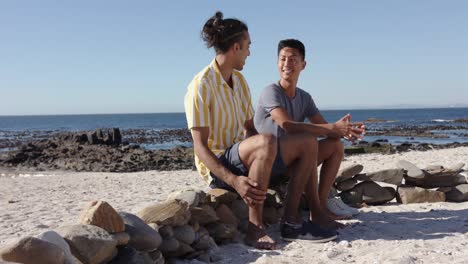 feliz pareja masculina gay diversa sentada en rocas y hablando en la playa, cámara lenta