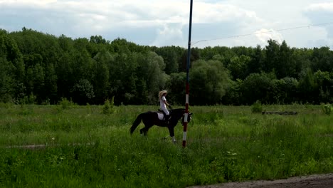 a beautiful girl in white hair and white clothes is riding a black brown stallion. the girl makes the horse perform various beautiful movements. the girl's hair develops in the wind.