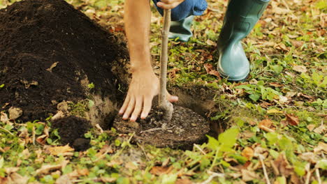 Close-up.-Hands-planting-a-tree.-Man-puts-the-tree-into-a-hole-and-then---puts-some-soil-on-the-roots.-Blurred-background