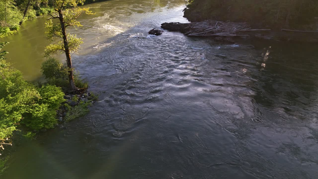 Suggestiva ripresa aerea del fiume Snoqualmie che scorre lentamente attraverso una foresta sempreverde nello Stato di Washington