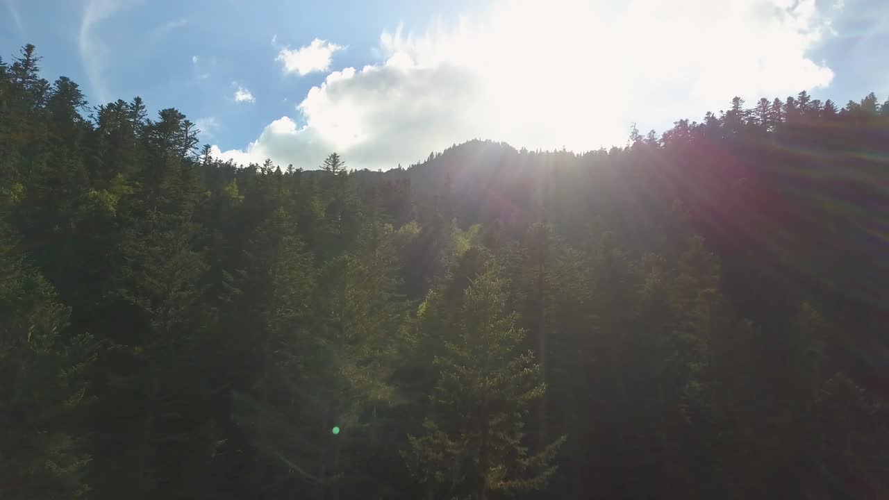 Drone shot going up in a forest in a mountain in the french pyrénées