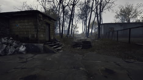 desolate pathway through abandoned buildings surrounded by bare trees