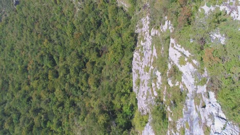 Dolly-Aéreo-En-Un-Impresionante-Muro-De-Piedra-Cubierto-De-Vegetación-En-El-Valle-De-Kostel,-Eslovenia