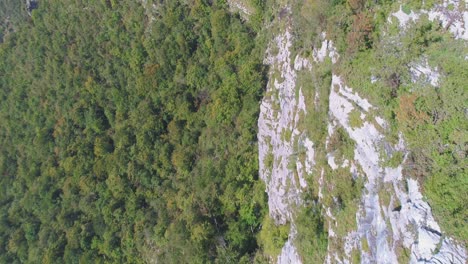 aerial dolly in of impresive stone wall covered in vegetation in kostel valley, slovenia