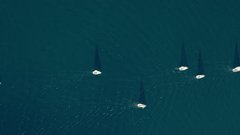 aerial view of sailboats racing on the ocean
