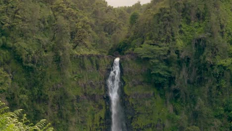 zoom on tropical waterfall flowing from hawaii rainforest clifftop
