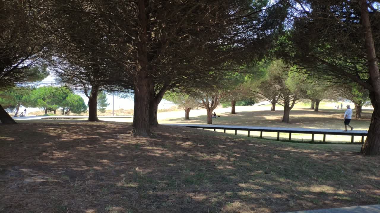 Des personnes se promenant le long de la passerelle en bois du jardin de repos, à l'ombre des arbres, par une journée d'été ensoleillée.