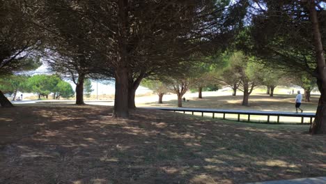 people walking along the wooden walkway of the rest garden among the shade of the trees on a sunny summer day