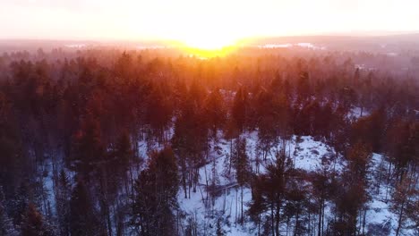 Vista-Panorámica-De-Un-Bosque-Cubierto-De-Nieve